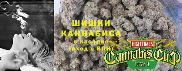 сатива Кукмор