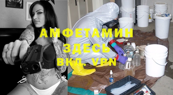 сатива Кукмор