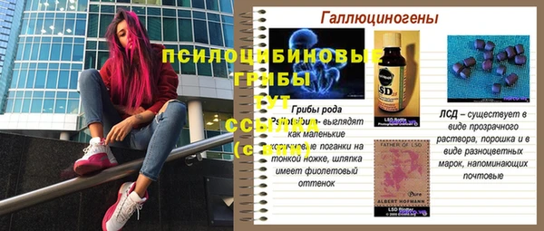 прущая мука Кулебаки