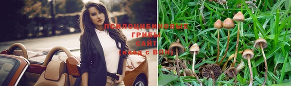 прущая мука Кулебаки